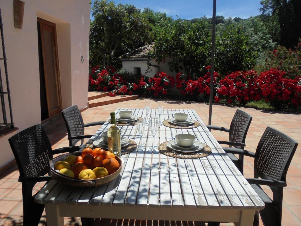 Betania Guest House Grazalema Ngoại thất bức ảnh